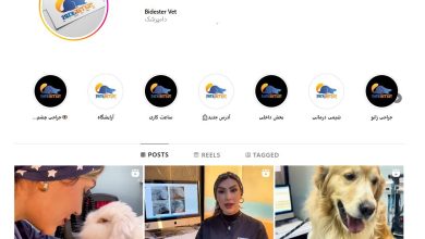 کلینیک دامپزشکی بیدستر