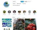 دبستان غیردولتی پسرانه تصمیم در مهرشهر کرج